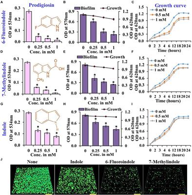 Frontiers Antibiofilm And Antivirulence Properties Of Indoles Against